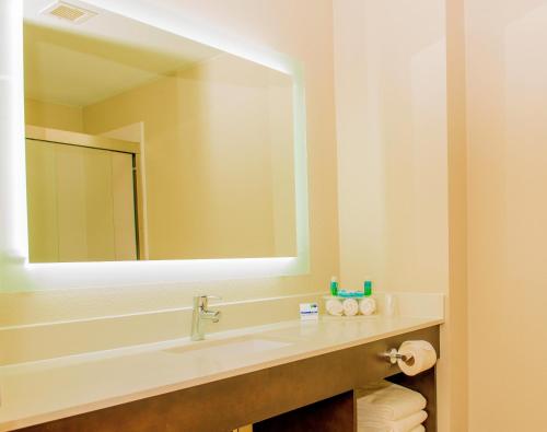 a bathroom with a sink and a large mirror at Holiday Inn Express St. Petersburg North / I-275, an IHG Hotel in St Petersburg
