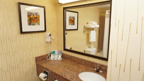 uma casa de banho com um lavatório e um espelho em Holiday Inn Express & Suites Gibson, an IHG Hotel em New Milford