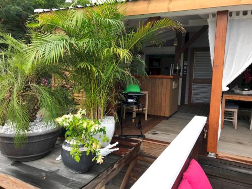 a porch with two large potted plants on it at Happy Cottage With Private Pool in Oyster Pond