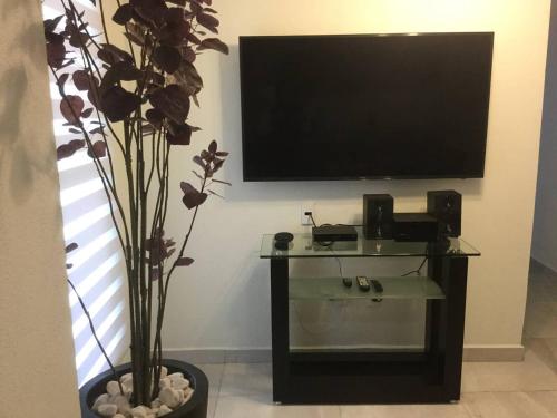 a living room with a tv and a potted plant at Suite Única privada Loft céntrico Zaragoza y Tecnológico 178B in Casa Blanca La Corregidora