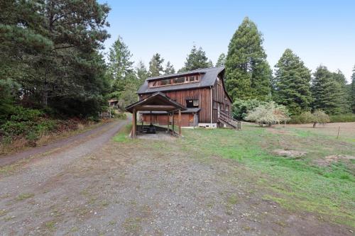 Meadow Redwoods – Photos 4