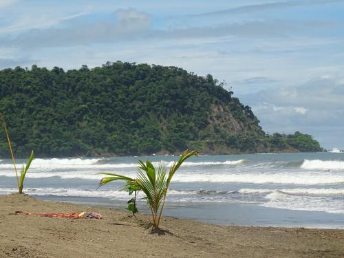 3Rooms Amaizing Beach Studio – Photos 3