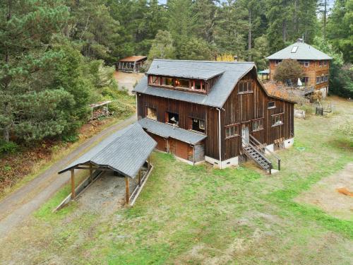 Meadow Redwoods – Photos 2