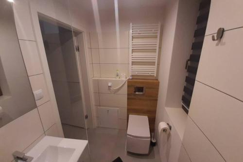 een kleine badkamer met een toilet en een wastafel bij Studio Fibra Choco in Rybnik