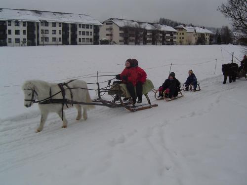 Gappmayrhof durante el invierno