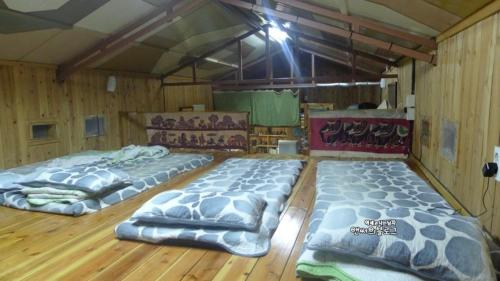two beds in a large room with wooden floors at Africa Guesthouse in Jeju