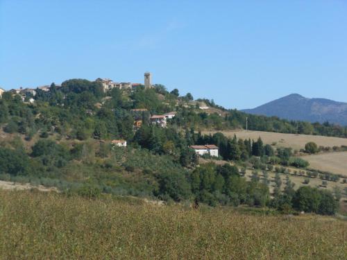 a house on top of a hill at Agriturismo Collomici in Celle sul Rigo