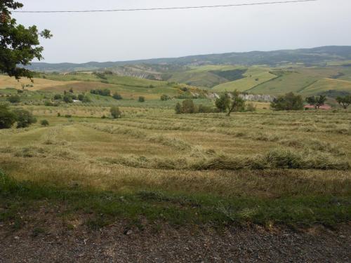 a field of grass with hills in the background at Agriturismo Collomici in Celle sul Rigo