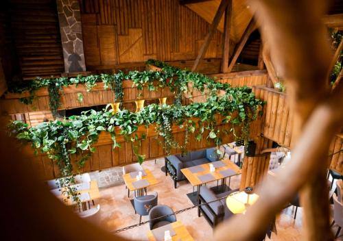an overhead view of a restaurant with plants on the wall at Drevny Grad Park-hotel in Lviv
