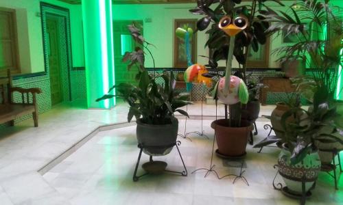 a room with potted plants on display on the floor at Pintor El Greco in Toledo