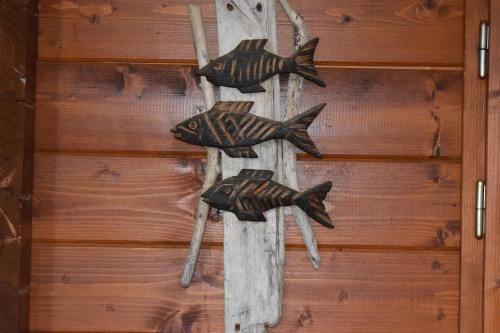 four fish on a wooden wall at Chez Augustin in Lacanau-Océan