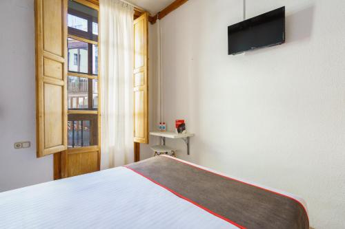 a bedroom with a bed and a television on a wall at Hostal Austria in Granada