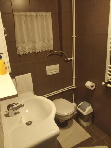 a bathroom with a white sink and a toilet at Flower Bell in Ghimeş-Făget