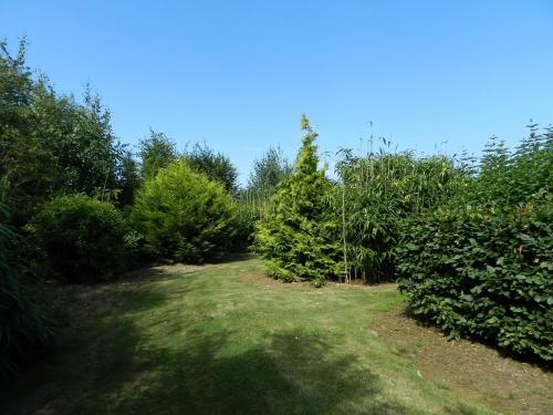 a garden with trees and grass and bushes at Gîte La Grenouillère in Esquéhéries