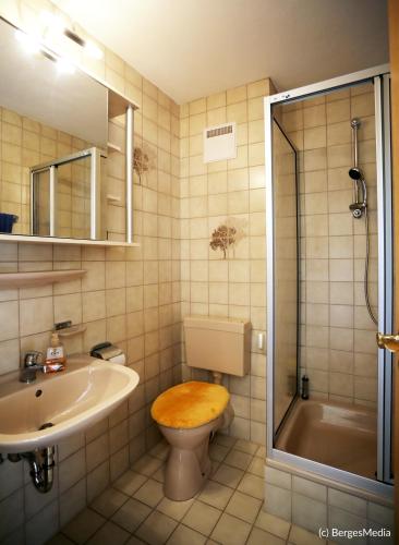 a bathroom with a toilet and a sink and a shower at Appartement Hauzenberg-Panorama in Hauzenberg