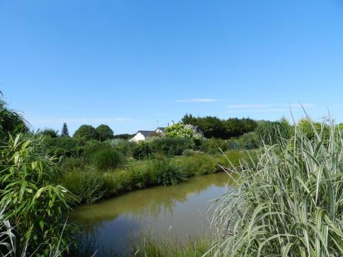 a river in a field with tall grass at Gîte La Grenouillère in Esquéhéries
