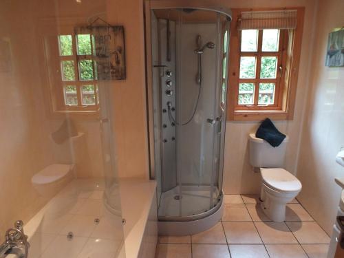 ein Bad mit einer Dusche und einem WC in der Unterkunft ASH Log Cabin in Swanage