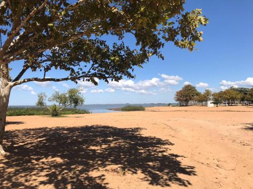 a tree casts a shadow on a sandy beach at Lindo Apto. Frente Praia (Cond. Dom Felippe) in São Lourenço do Sul