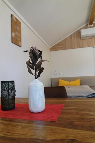 Gallery image of Tiny Village in Wallersdorf