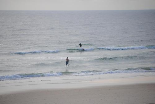 two people surfing in the ocean on the beach at Albatross North Apartments in Gold Coast