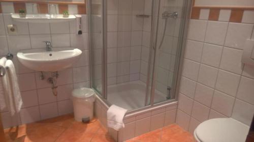 a bathroom with a shower and a sink and a toilet at Mettner Hof in Metten