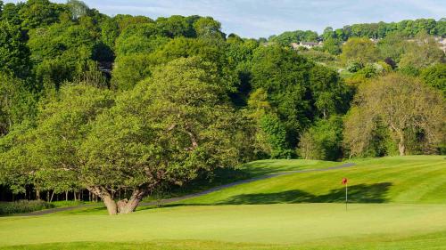 a green golf course with a tree in the foreground at Hollins Hall Hotel, Golf & Country Club in Bradford