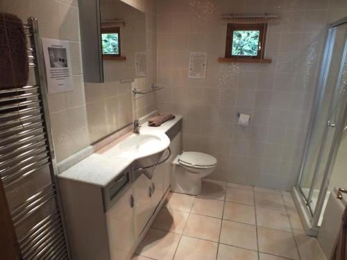 a bathroom with a sink and a toilet at Walnut Log Cabin in Swanage