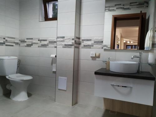 a bathroom with a toilet and a sink and a mirror at Aqualina Colibita - pe malul lacului in Colibiţa