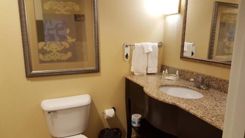 a bathroom with a toilet and a sink and a mirror at Holiday Inn Quincy, an IHG Hotel in Quincy