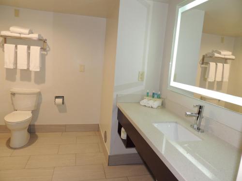 a bathroom with a sink and a toilet and a mirror at Holiday Inn Express Trussville by IHG in Trussville