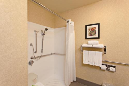 a bathroom with a shower with a shower curtain at Holiday Inn Express Temecula by IHG in Temecula