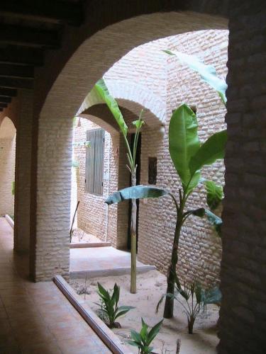 a building with an arch with a plant in it at Résidence Loued in Tozeur