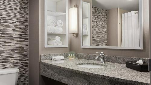 a bathroom with a sink and a toilet and a mirror at Holiday Inn Hotel & Suites Gateway, an IHG Hotel in Williamsburg