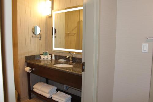 Bilik mandi di Holiday Inn Express & Suites Cold Lake, an IHG Hotel