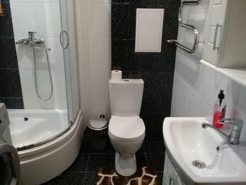 La salle de bains est pourvue de toilettes, d'une douche et d'un lavabo. dans l'établissement Center Park Brovary, à Brovary