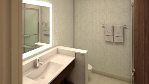 a bathroom with a sink and a toilet and a mirror at Holiday Inn Express & Suites - Olathe South, an IHG Hotel in Olathe
