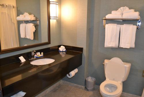 A bathroom at Holiday Inn Express Selinsgrove, an IHG Hotel