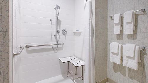 a bathroom with a shower and a toilet and towels at Holiday Inn Express Hotel & Suites Mount Pleasant by IHG in Mount Pleasant