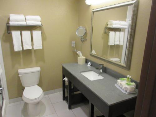 a bathroom with a toilet and a sink and a mirror at Holiday Inn Express & Suites Butler, an IHG Hotel in Butler