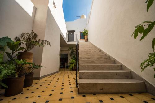a staircase in a building with potted plants at Casa Montore by Barrio Mexico in Guadalajara
