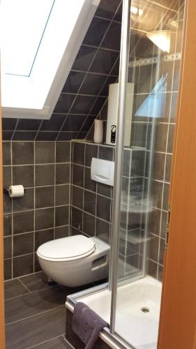 a bathroom with a toilet and a shower at Pension Wauri , Ferienwohnung ' SCHWÄBISCHE ALB ' , Mansarden - Wohnung in Waldenbuch