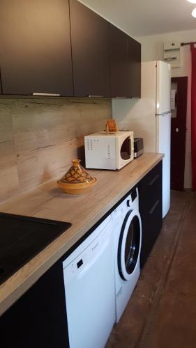 a kitchen with a washer and a microwave on a counter at Le moulin de Varax in Saint-Paul-de-Varax