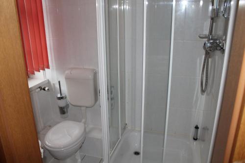 a white bathroom with a shower and a toilet at La Rustica Altstadthotel in Wernigerode
