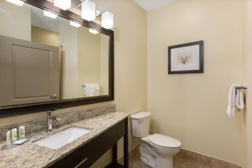 a bathroom with a toilet and a sink and a mirror at AmericInn by Wyndham Sioux Falls North in Sioux Falls