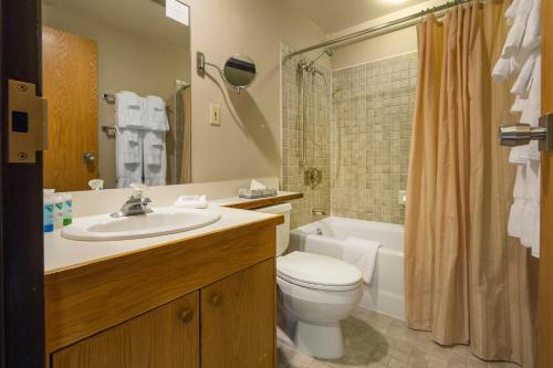 艾爾塔的住宿－斯諾伯德旅舍，浴室配有盥洗盆、卫生间和浴缸。