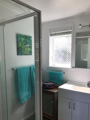 a bathroom with a shower and a sink and a mirror at 9 Alpine Avenue in Hanmer Springs