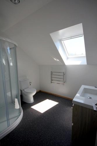 a bathroom with a toilet and a sink and a skylight at 15 Hepburn Lane in Hanmer Springs
