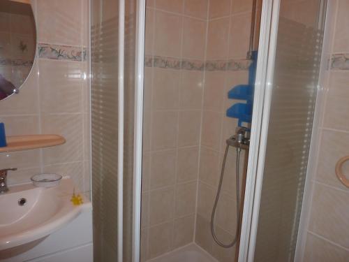 a bathroom with a shower and a sink at Noirmoutrine in Noirmoutier-en-l'lle