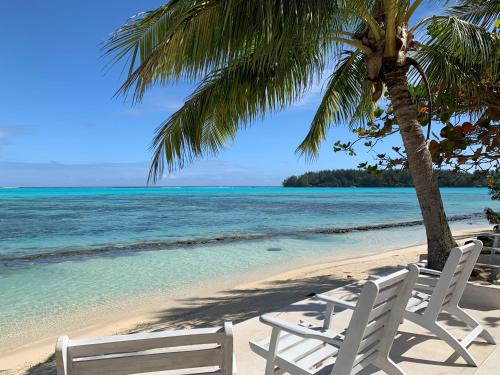 two white chairs on a beach with the ocean at Moorea Island Beach Hotel in Moorea