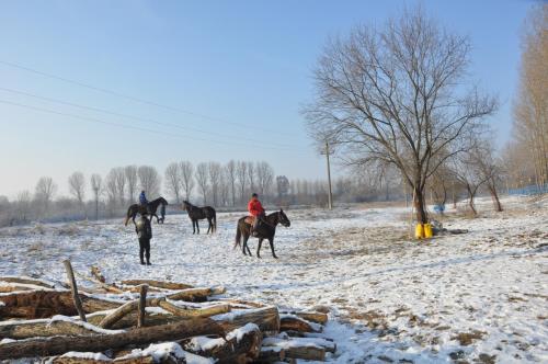 a group of people riding horses in a snow covered field at Complex Domneasca in Seimeni